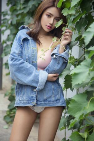 旋风少女第一季免费观看电视剧